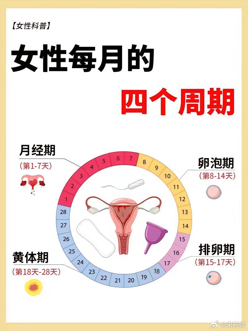 女人最新的阶段