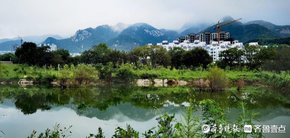 小雨清晨最新