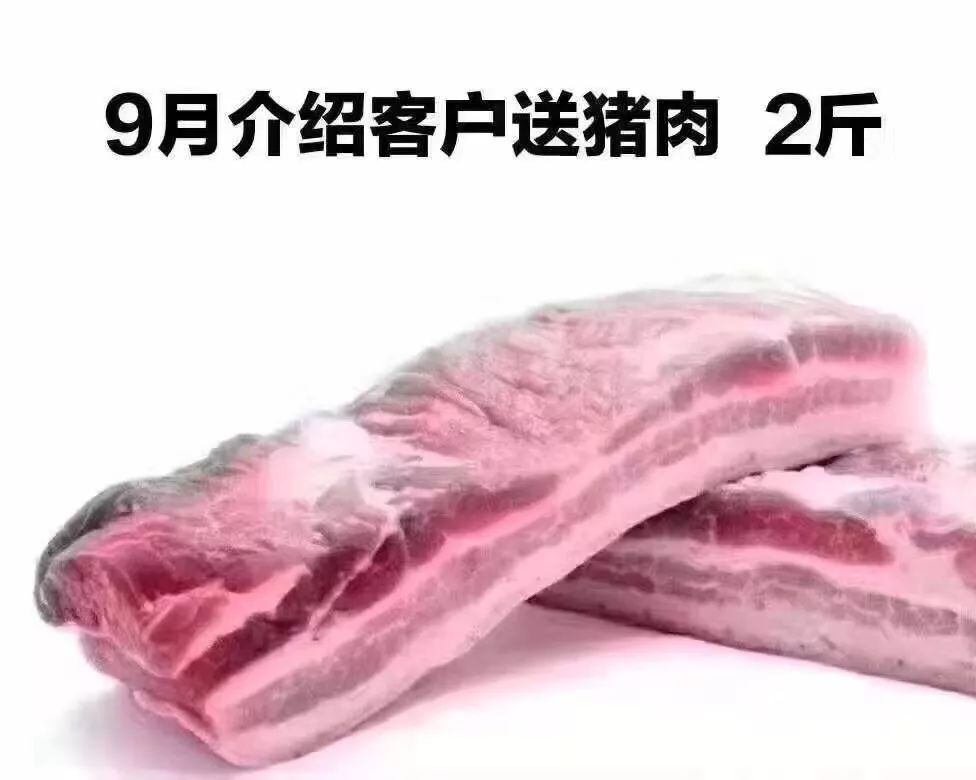 最新肉价重庆