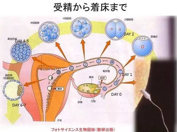 2025年2月11日 第28页