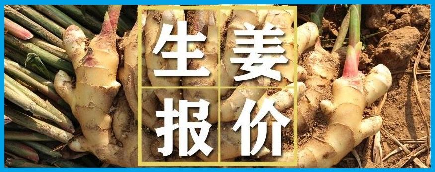 良姜最新行情